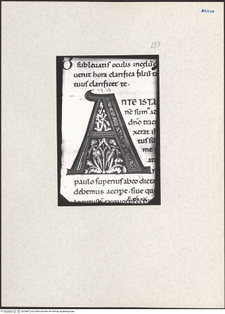 Vorderseite von bh204997_recto