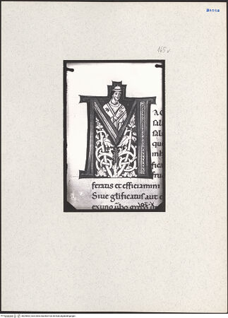 Vorderseite von bh205002_recto