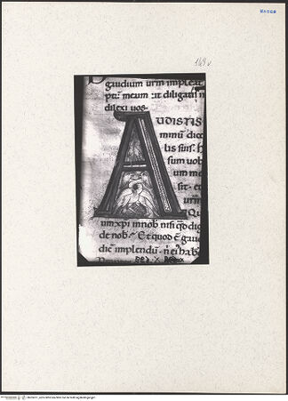 Vorderseite von bh205011_recto