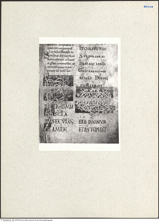 Vorderseite von bh205012_recto