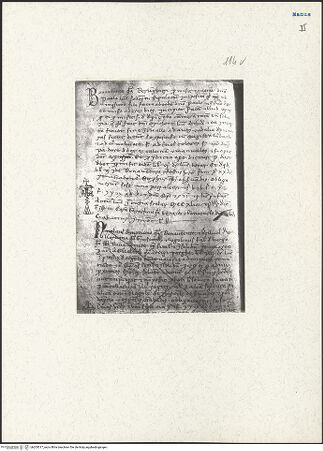 Vorderseite von bh205017_recto