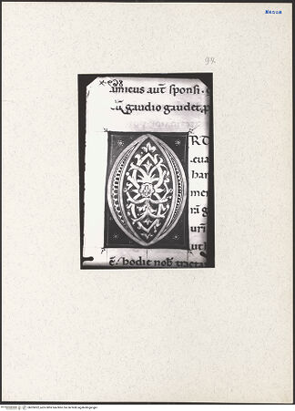 Vorderseite von bh205022_recto