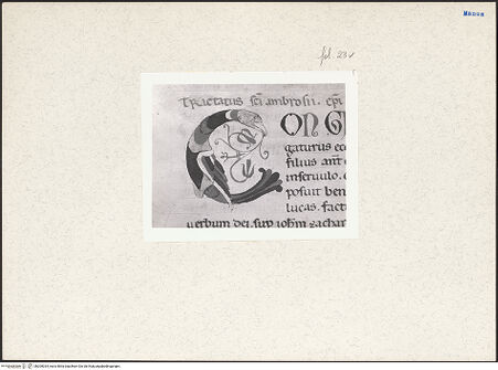 Vorderseite von bh205034_recto