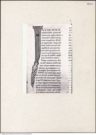 Vorderseite von bh205038_recto