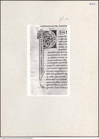 Vorderseite von bh205039_recto