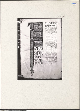 Vorderseite von bh205040_recto