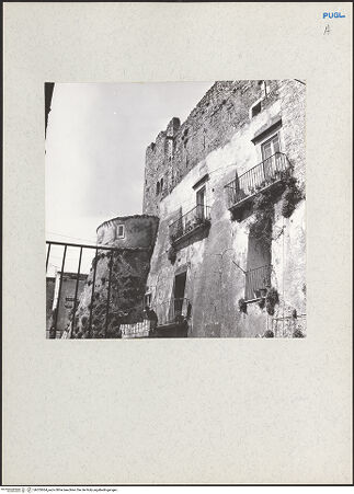 Vorderseite von bh205064_recto