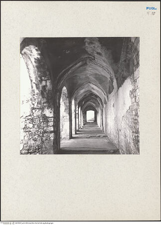 Vorderseite von bh205087_recto