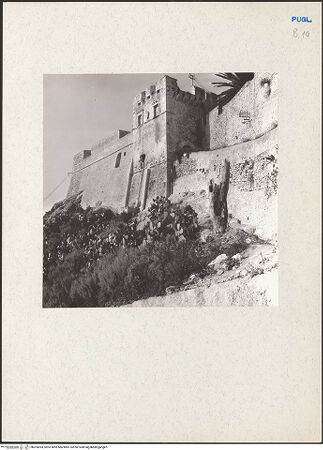 Vorderseite von bh205093_recto