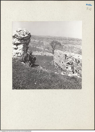 Vorderseite von bh205099_recto