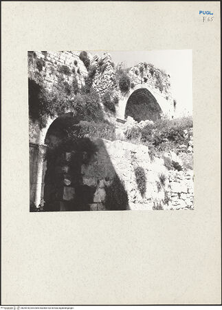 Vorderseite von bh205100_recto