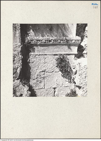 Vorderseite von bh205101_recto