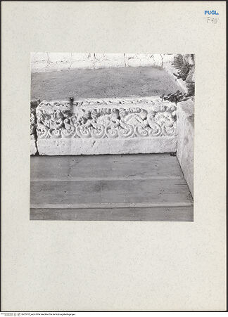 Vorderseite von bh205102_recto