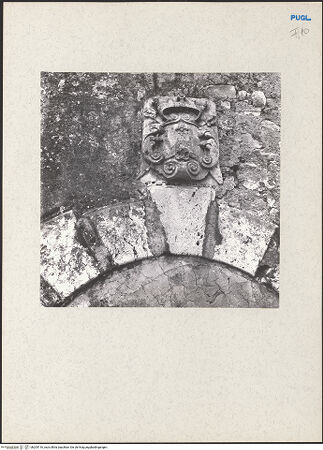 Vorderseite von bh205116_recto