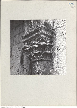 Vorderseite von bh205122_recto