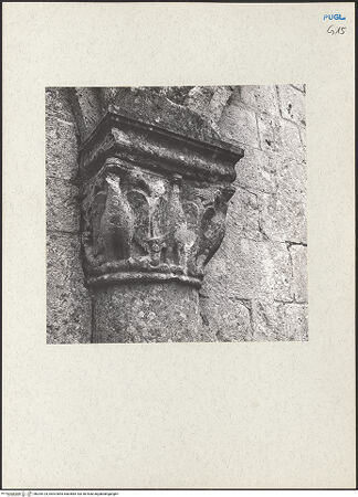 Vorderseite von bh205124_recto