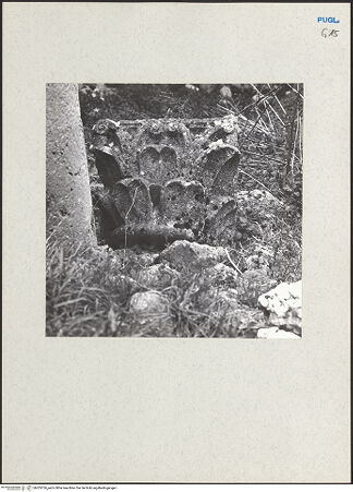 Vorderseite von bh205126_recto