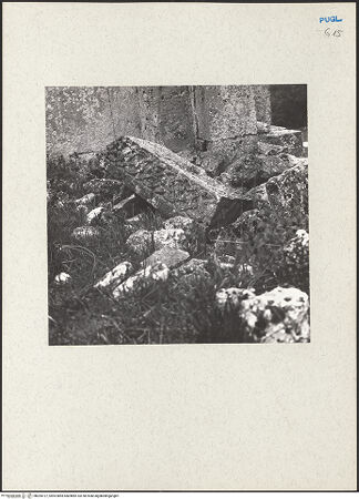 Vorderseite von bh205127_recto