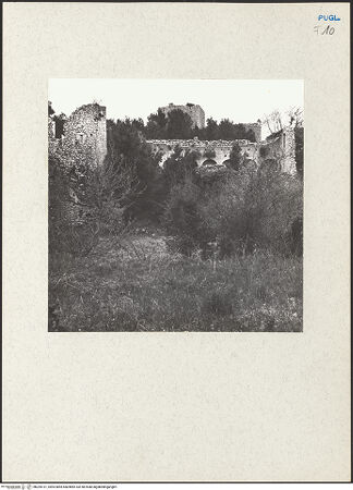 Vorderseite von bh205131_recto