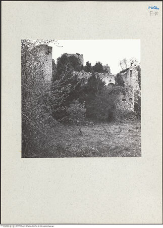 Vorderseite von bh205132_recto