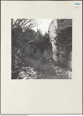 Vorderseite von bh205139_recto