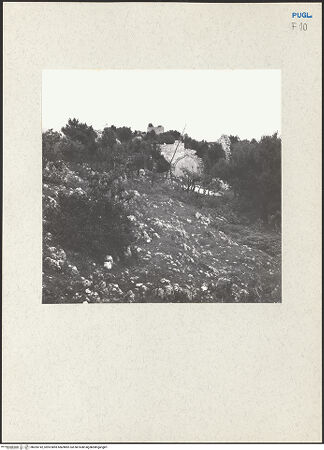 Vorderseite von bh205142_recto