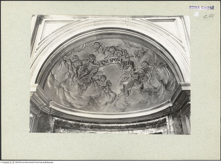 Vorderseite von ICCD [https://www.deutsche-digitale-bibliothek.de/content/lizenzen/rv-ez/] Stuckdekoration mit Engel und Putten mit den Attributen der jeweiligen HeiligenKalottenrelief über dem Nischenaltar der heiligen Emerentiana: Putten mit Schriftband im Himmel - Gesamtansicht, bh205249_recto. Foto.