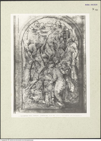 Vorderseite von bh205263_recto