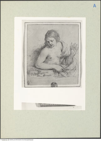 Vorderseite von bh205343_recto