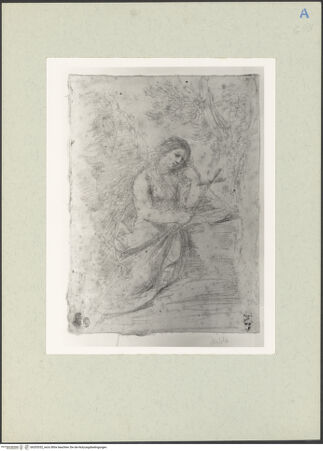 Vorderseite von bh205352_recto