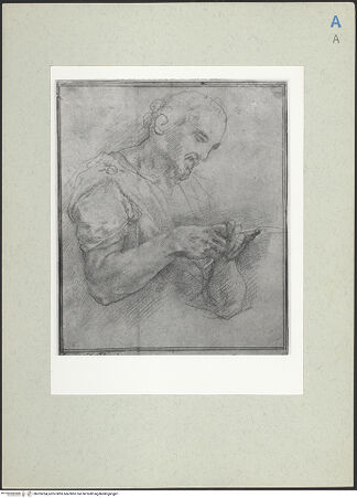 Vorderseite von bh205354_recto