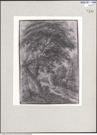 Vorderseite von bh205357_recto