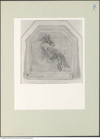 Vorderseite von bh205358_recto