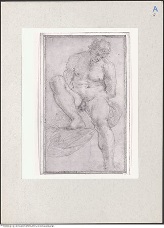 Vorderseite von bh205379_recto