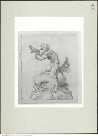 Vorderseite von bh205390_recto