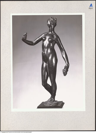 Vorderseite von bh205410_recto