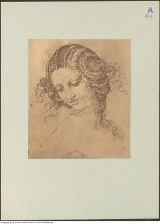 Vorderseite von bh205484_recto