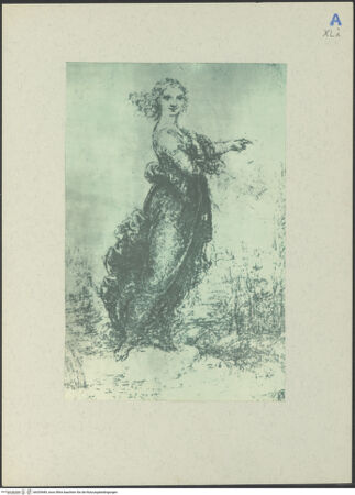 Vorderseite von bh205485_recto