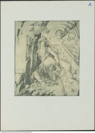 Vorderseite von bh205487_recto