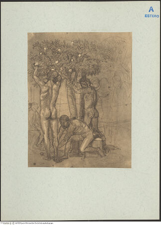 Vorderseite von bh205503_recto