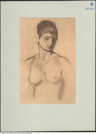 Vorderseite von bh205504_recto