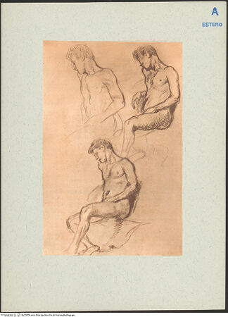 Vorderseite von bh205506_recto