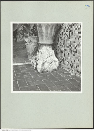 Vorderseite von bh205585_recto