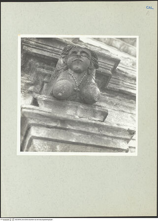 Vorderseite von bh205595_recto