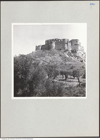 Vorderseite von bh205664_recto