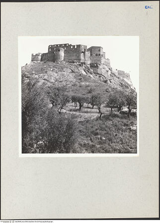 Vorderseite von bh205666_recto