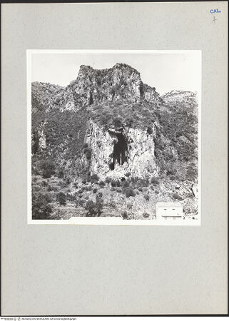 Vorderseite von bh205685_recto