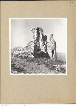 Vorderseite von bh205692_recto