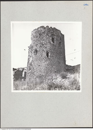 Vorderseite von bh205709_recto