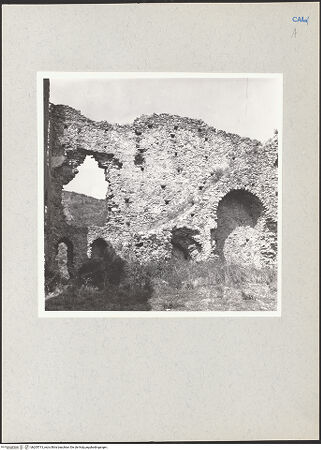 Vorderseite von bh205713_recto